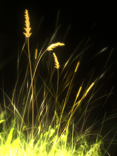 [image-upload-6-767149.jpe]