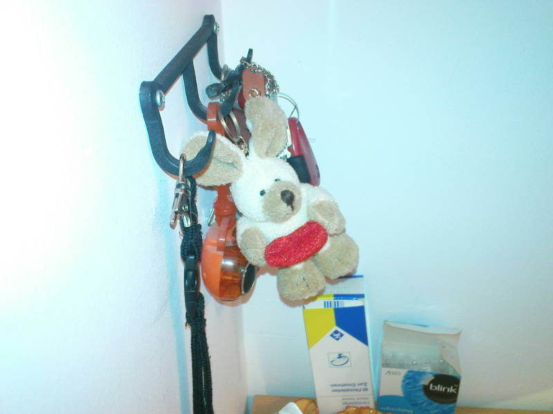 [image-upload-27-733903.jpe]