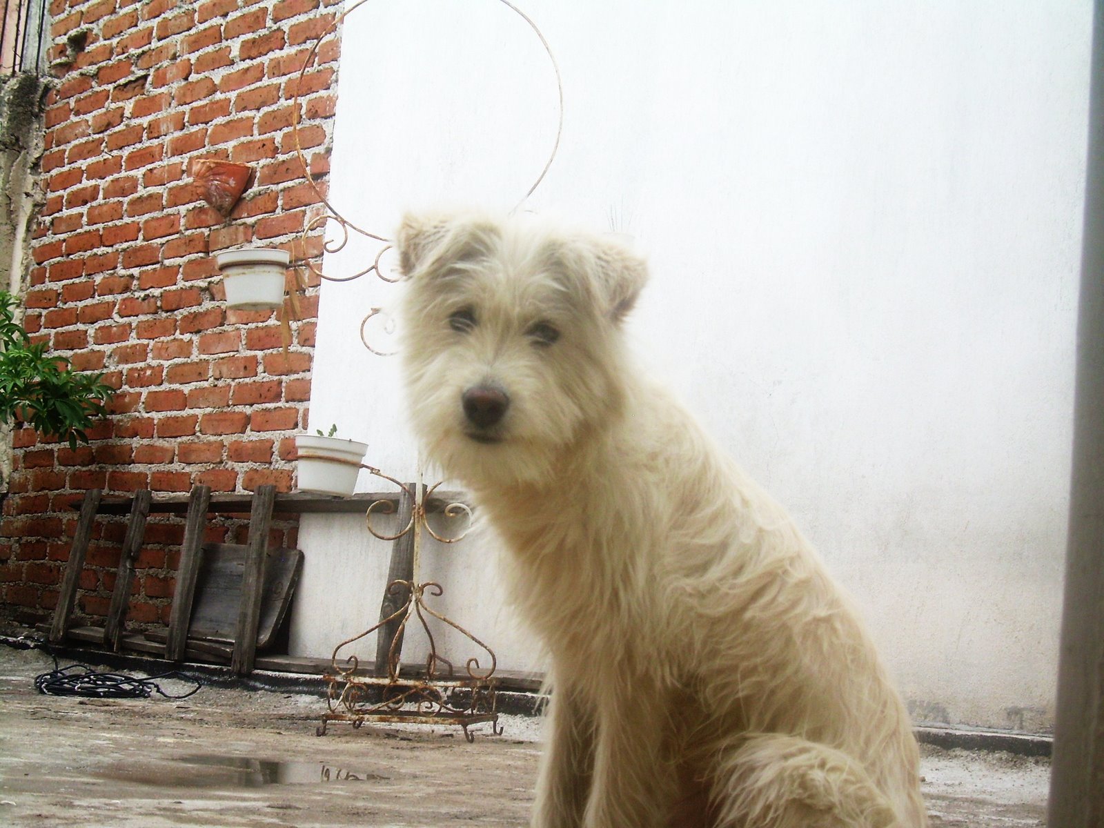 [DSCN0917.JPG]