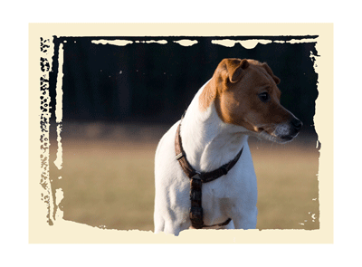 [_MG_4308_edited-1.gif]