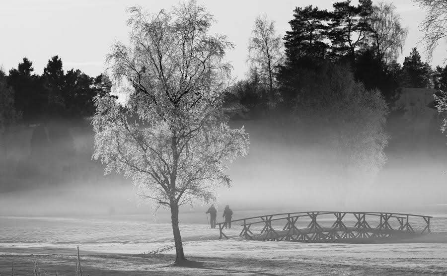 [_MG_6551-Edit.jpg]