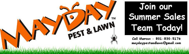 Mayday Pest &  Lawn