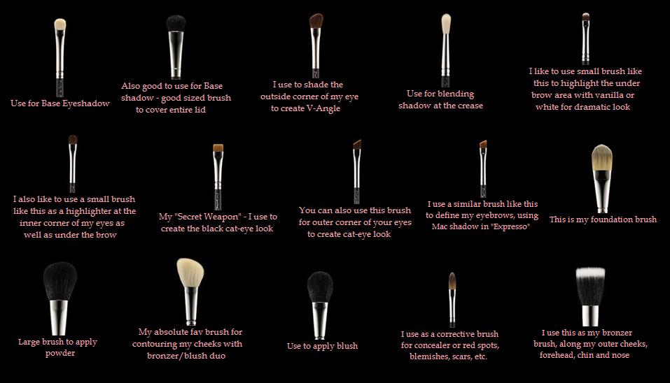 Makeup Brushes and their uses Makeup, Health beauty, Makeup brushes