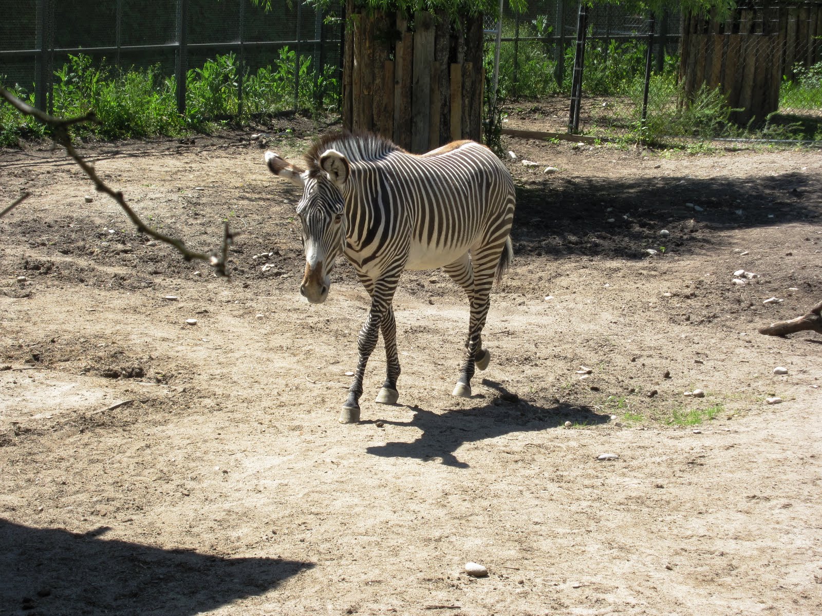The Ineck Family Boise Zoo