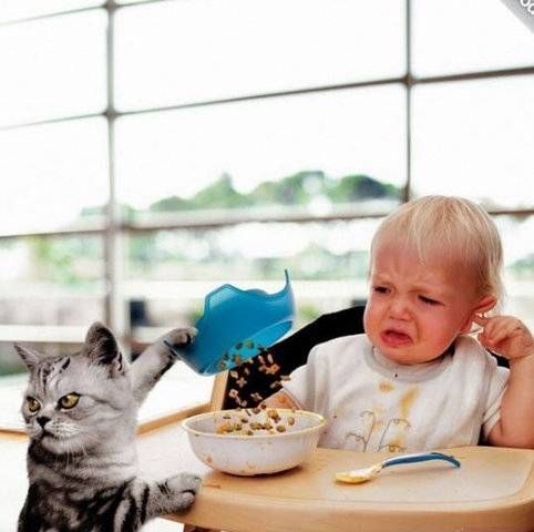 [selection_197_36.jpg]