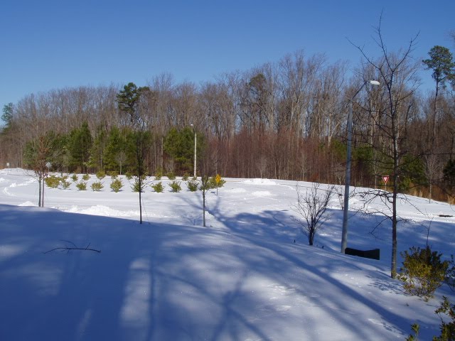 [nc-snow2.JPG]