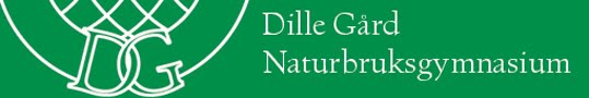 Dille Gård Naturbruksgymnasium