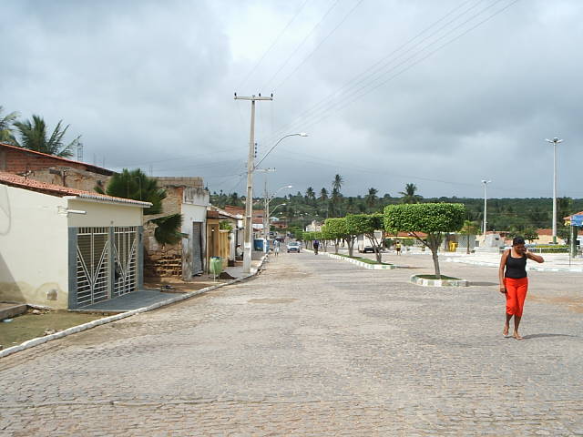 [S2010028_2.JPG]