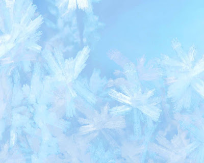 Snowflake Facts Free Snowflake Wallpaper