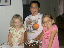 3 of the Monkeys