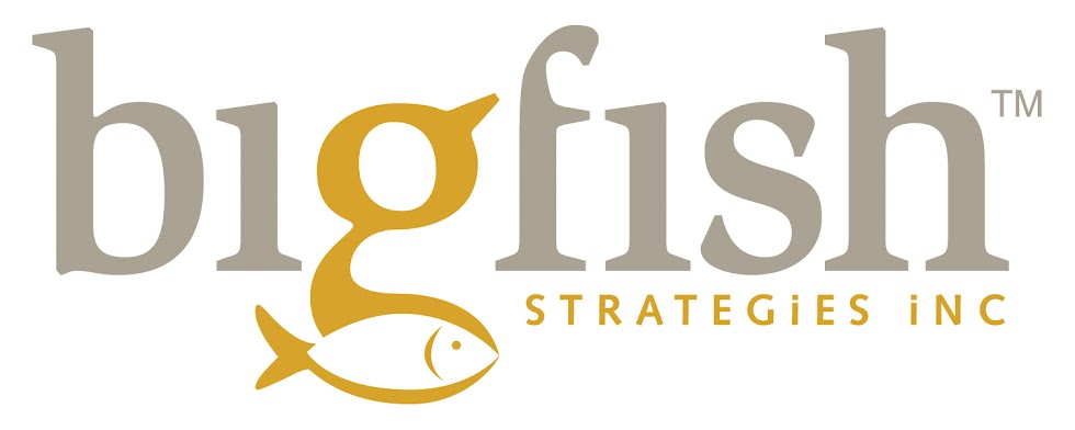 Bigfish Strategies Inc.