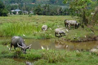 [DSC05569.JPG]