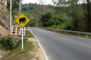 [DSC05576.JPG]