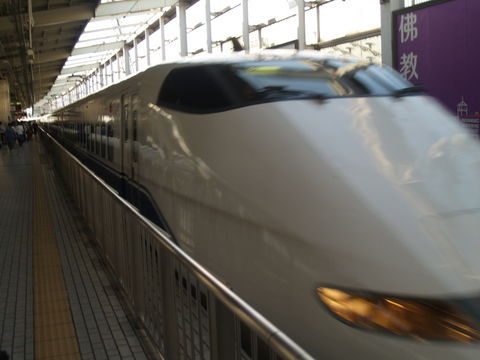 [P3026437.JPG]