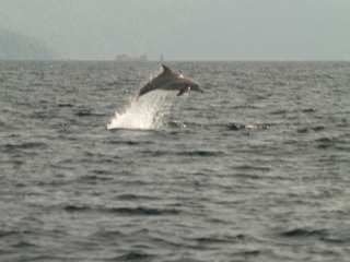 [P3076723.JPG]
