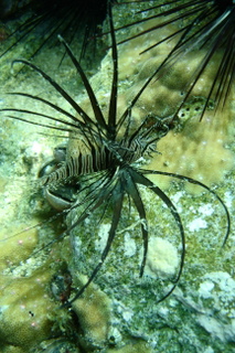 [DSC02533.JPG]