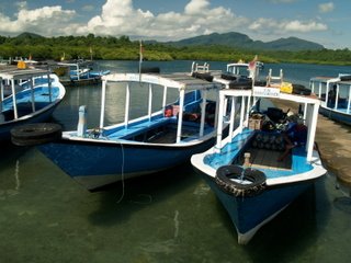 [bali-dive.JPG]