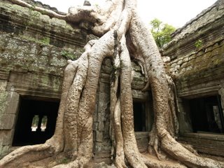 [ta-prohm-cambodia-2.JPG]