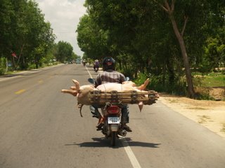 [cambodia-pork.JPG]
