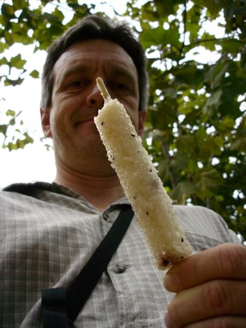 [DSC09934.JPG]
