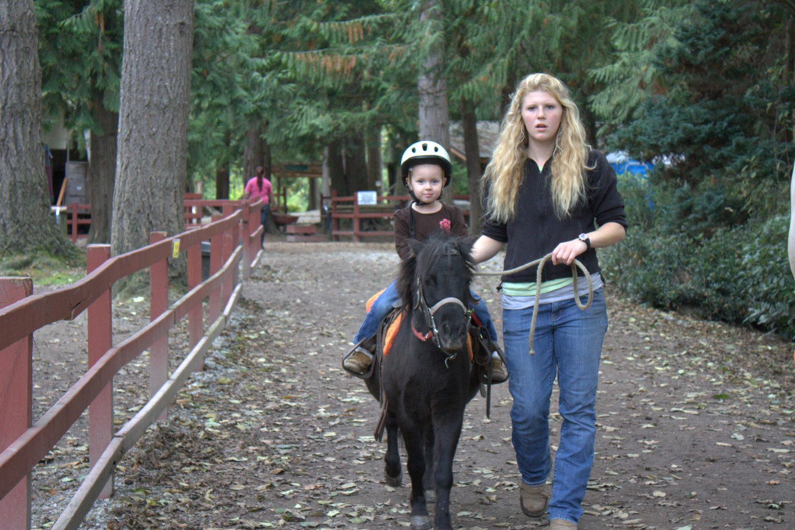 langs horse and pony farm