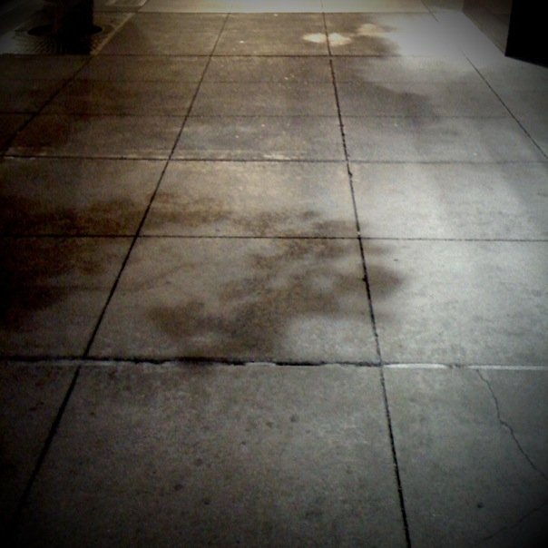 [n1065434957_30562228_3048753.jpg]