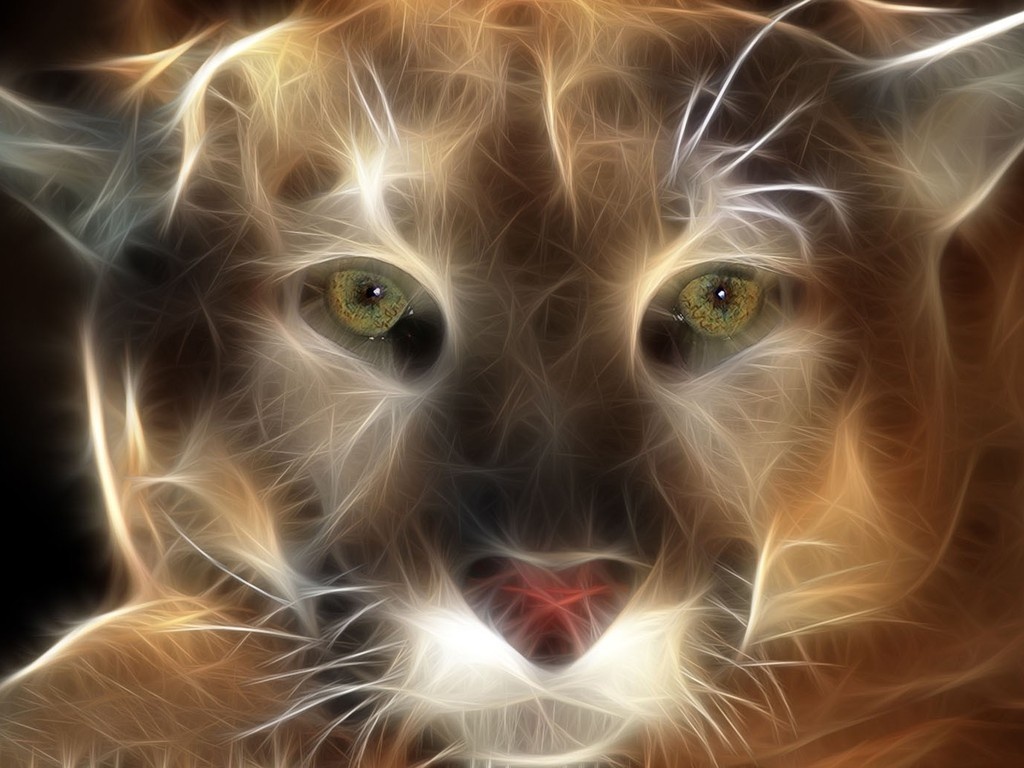 IMAGEN ART imagen art: