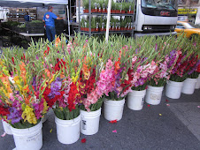 Saturday Greenmarket