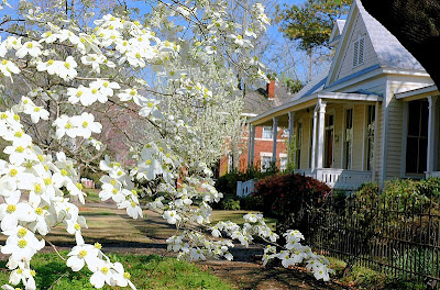 Dogwood+blossom+lyrics