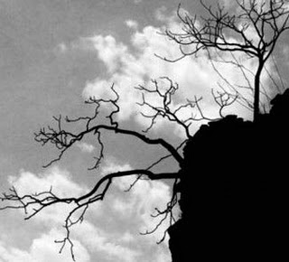 Bhangarh Fort Rajasthan