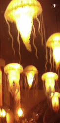 Jelly Fish in Bar