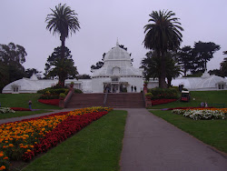 Walk Through Golden Gate Park