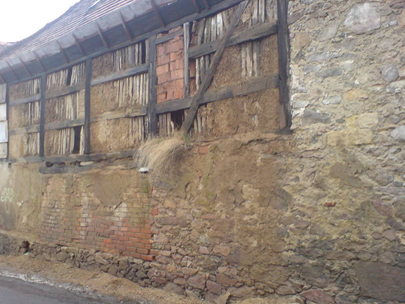 [image-upload-1-701542.jpg]