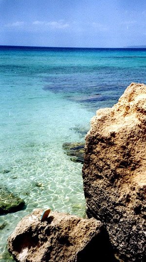 cap de barbaria