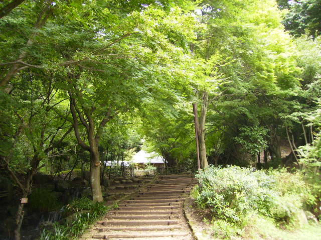 [せせらぎ広場118.JPG]