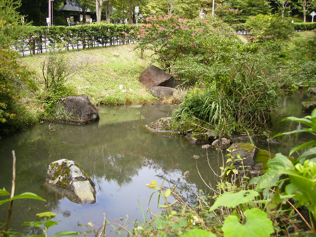 [あやめ池132.JPG]