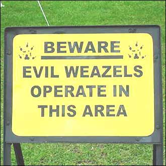 [evil_weasels_330.jpg]