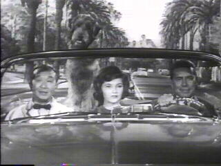 [bachelorfathercar.jpg]