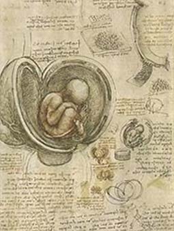 [davinci1.jpg]