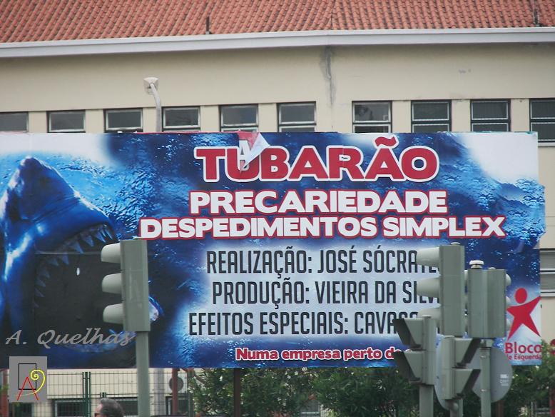 [tubarÃ£o.JPG]