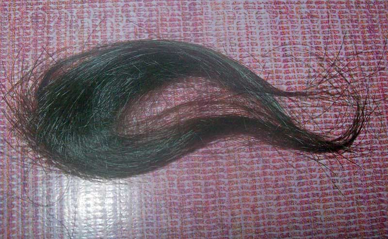 [hibla-ng-buhok.jpg]