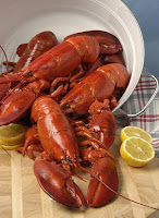 lobsters in a bucket