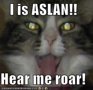 Aslan -- can you hear me? - Lolcats - lol, cat memes