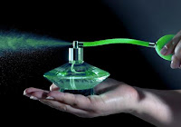 choose buy apply summer perfumes fragrances