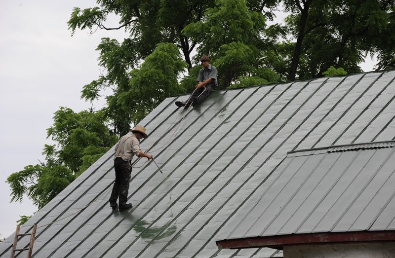 Living Well Growing Girls Painting The Barn Roof For Solar Panels