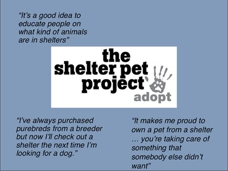 [shelter+pet+project+slide+11.JPG]