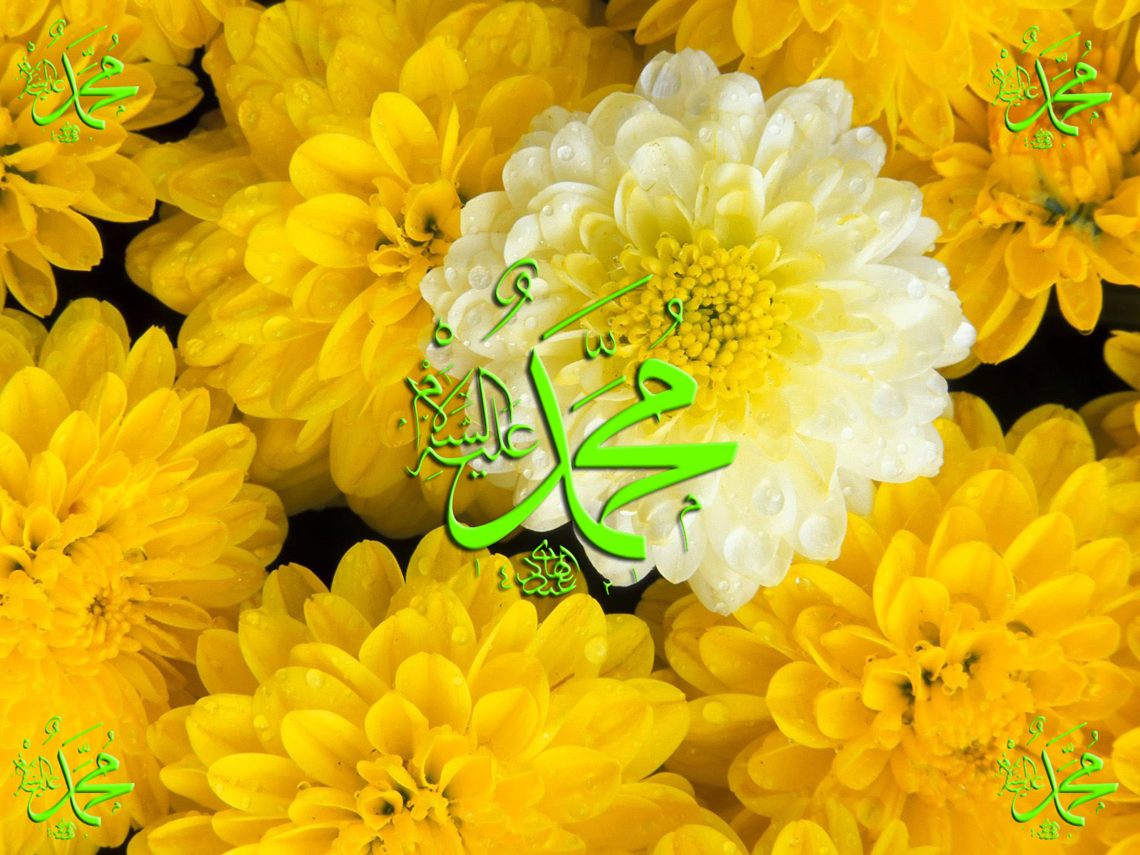 Muhammad rasulullah Muhammad rasulullah