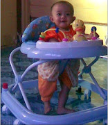 7 Bulan  02/Dec/2008