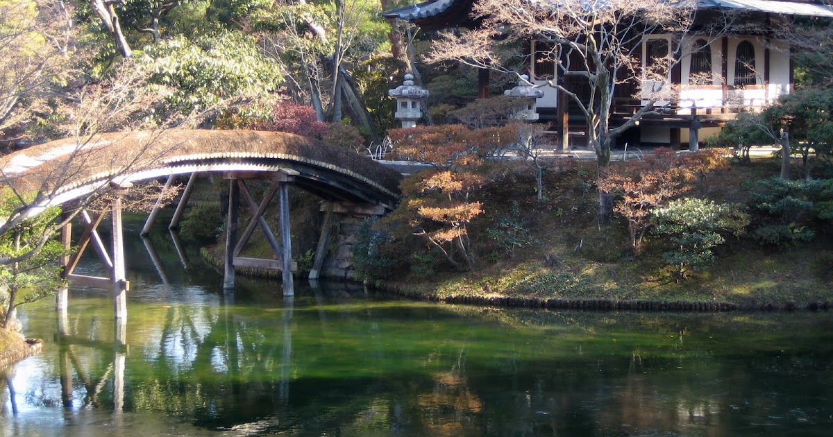 innersense: jardín interior - interior garden