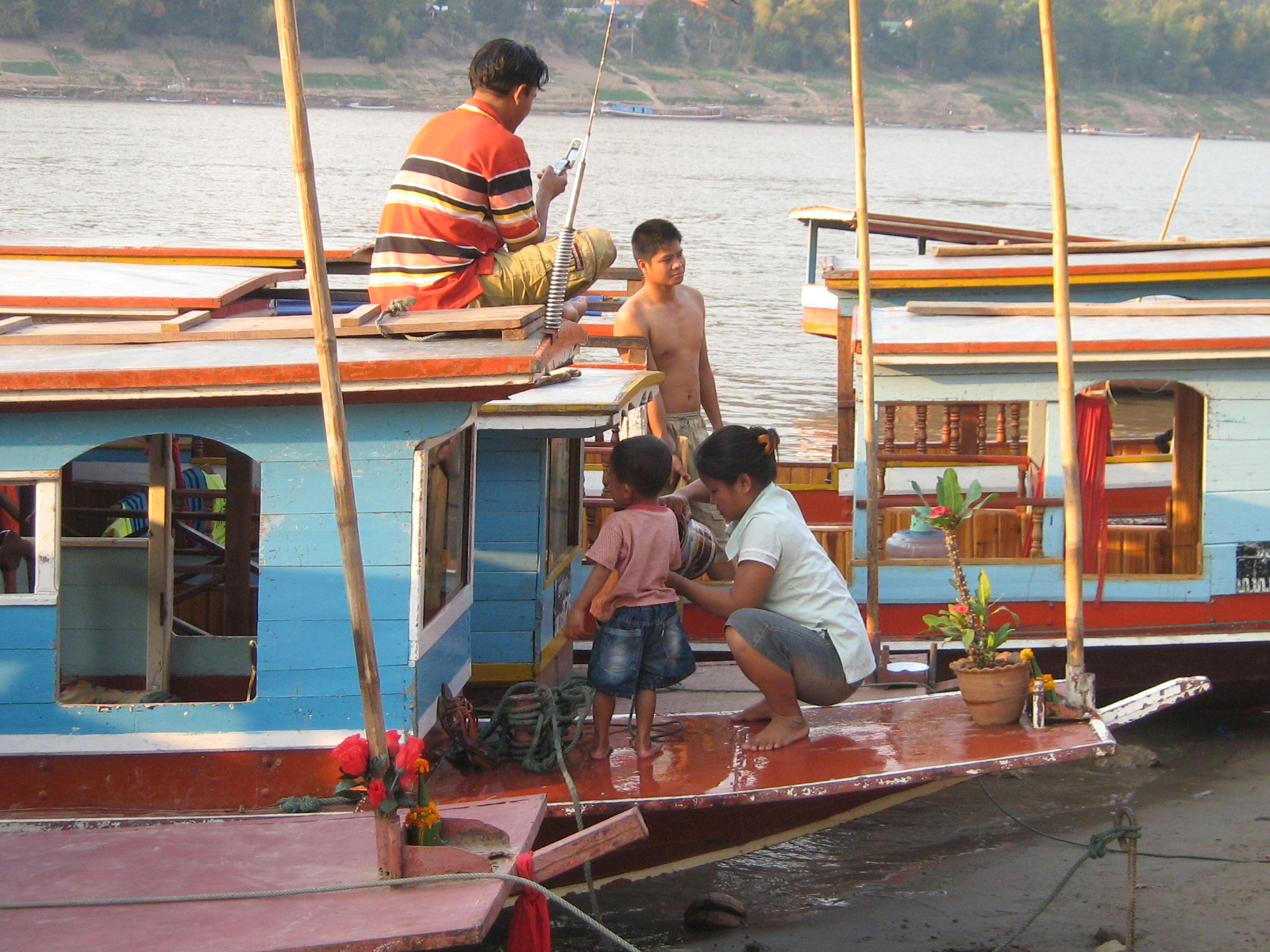 Mekong+river+catfish